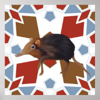 Schattigee olifant spitsmuis leuk kleurrijk patroo