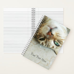 Schattigee Ondersteboven Tabby Cat Gepersonaliseer Notitieboek