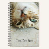Schattigee Ondersteboven Tabby Cat Gepersonaliseer Notitieboek (Voorkant)