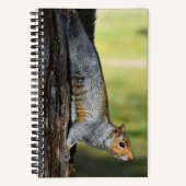 Schattigee Oosterse Grijze Eekhoorn Natuur Foto Notitieboek (Voorkant)