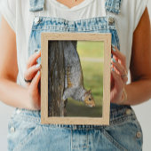 Schattigee Oosterse Grijze Eekhoorn op Tree Foto Afdruk