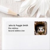 Schattigee Oppossum Animal Natuur Wildlife Art Etiket (Insitu)