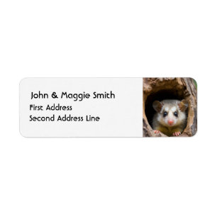 Schattigee Oppossum Animal Natuur Wildlife Art Etiket