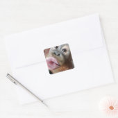 Schattigee orang-oetan Baby kus Vierkante Sticker (Envelop)