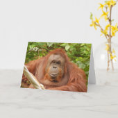 Schattigee orang-oetan verjaardag wenskaart kaart (Gele Bloem)
