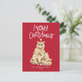 Schattigee Oranje Cat Meowy Kerst Niet-Foto Feestdagenkaart (Staand voorkant)