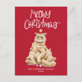 Schattigee Oranje Cat Meowy Kerst Niet-Foto Feestdagenkaart (Voorkant)