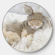 Schattigee Oranje kat in bruin konijnenkostuum