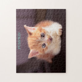 Schattigee Oranje kat op zwarte Ottomaanse Oranje  Legpuzzel