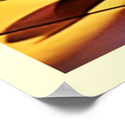 Schattigee Oranje Kitten Art Poster (Hoek)