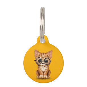 Schattigee Oranje Tabby Kitten met Oogbril geel Huisdierpenning