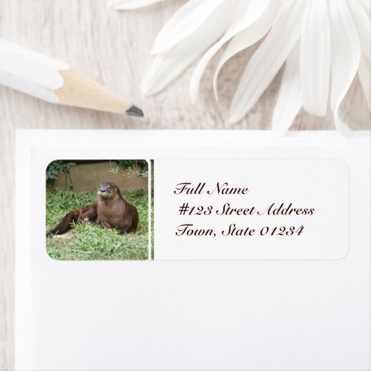 Schattigee Otter Mailing Labels (Insitu)