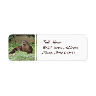 Schattigee Otter Mailing Labels