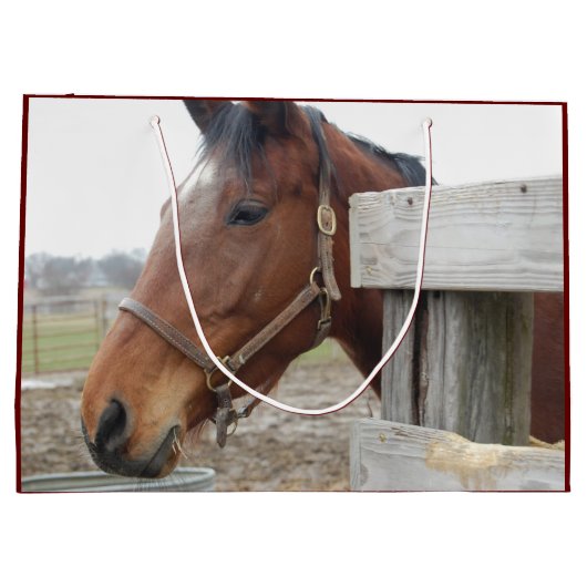 Schattigee Paarden op een Boerderij Groot Cadeauzakje (Achterkant)