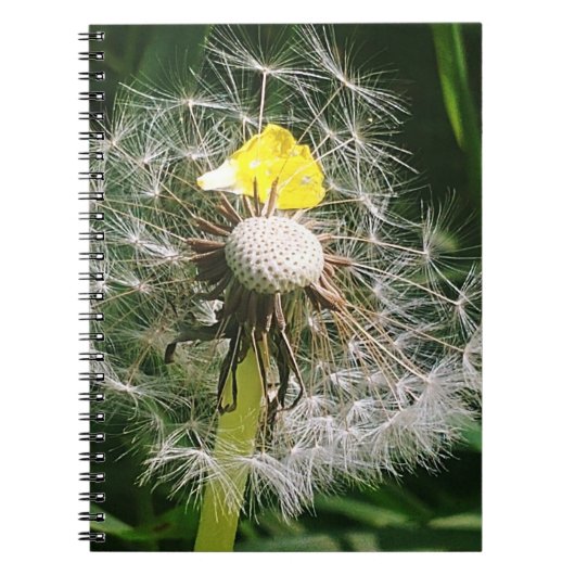 Schattigee paardenbloem notitieboek (Voorkant)