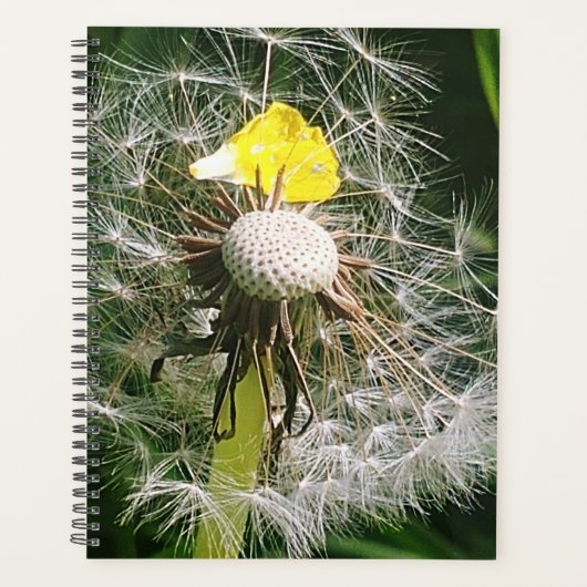Schattigee paardenbloem planner (Voorkant)