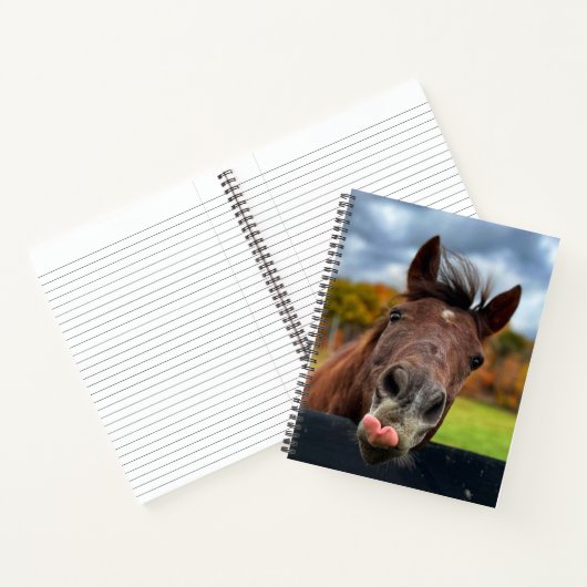 Schattigee paardenspiraal notitieboek (Binnen)