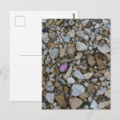 Schattigee Paarse Little Heart op Black Rock in Ro Briefkaart (Voorkant / Achterkant)