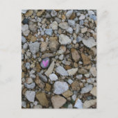 Schattigee Paarse Little Heart op Black Rock in Ro Briefkaart (Voorkant)