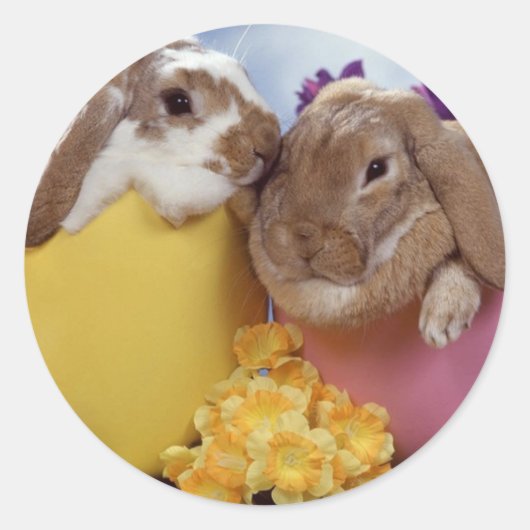 Schattigee paashaas binnen Eieren Ronde Sticker (Voorkant)