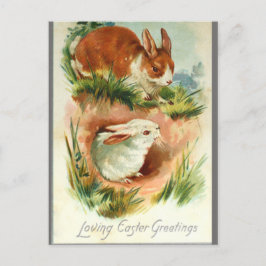 Schattigee  paashaas konijnen briefkaart