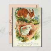 Schattigee  paashaas konijnen briefkaart (Voorkant / Achterkant)