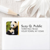 Schattigee Panda Beer Aangepaste Adresetiketten Etiket (Insitu)