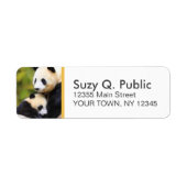 Schattigee Panda Beer Aangepaste Adresetiketten Etiket (Voorkant)