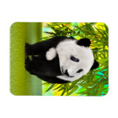 Schattigee Panda Beer Kawaii Dierenvriend Perfect  Magneet (Horizontaal)