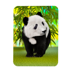 Schattigee Panda Beer Kawaii Dierenvriend Perfect  Magneet