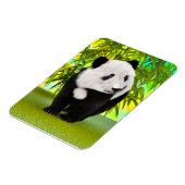 Schattigee Panda Beer Kawaii Dierenvriend Perfect  Magneet (Linkerzijde)