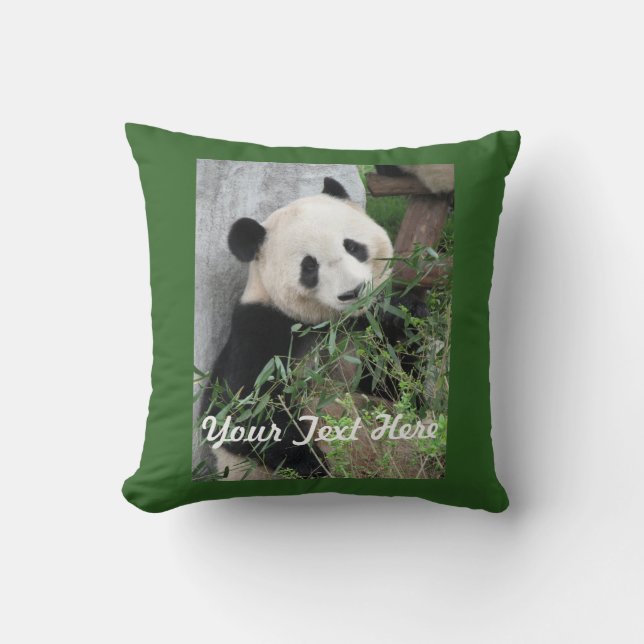 Schattigee panda, stevige groene rug, naam, vierka kussen (Voorkant)