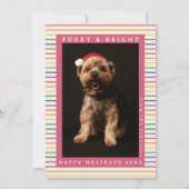 Schattigee Paw Print Rainbow Retro Kerstmis Pet Fo Feestdagenkaart (Voorkant)