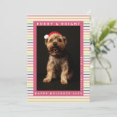 Schattigee Paw Print Rainbow Retro Kerstmis Pet Fo Feestdagenkaart (Staand voorkant)