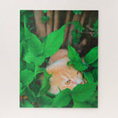Schattigee Peeking Cat fotoprint Legpuzzel (Verticaal)