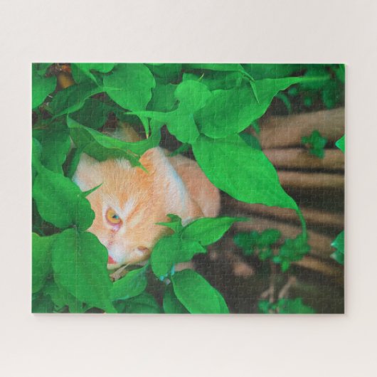 Schattigee Peeking Cat fotoprint Legpuzzel (Horizontaal)