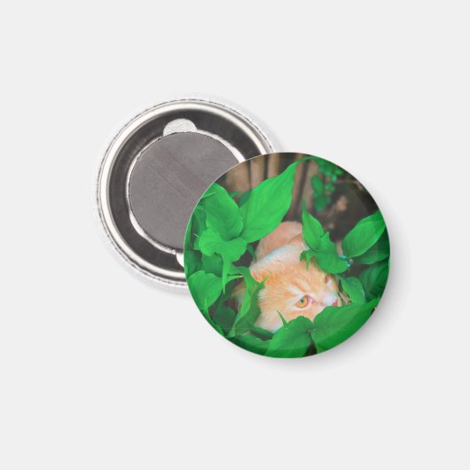 Schattigee Peeking Cat fotoprint Magneet (Voorkant / Achterkant)