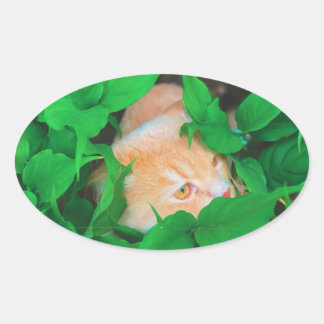 Schattigee Peeking Cat fotoprint Ovale Sticker