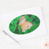 Schattigee Peeking Cat fotoprint Ovale Sticker (Envelop)