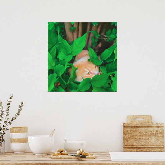 Schattigee Peeking Cat fotoprint Poster (Keuken)