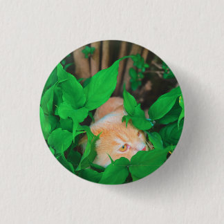 Schattigee Peeking Cat fotoprint Ronde Button 3,2 Cm