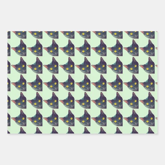 Schattigee Peeking Cat Wrapping Papiervellen Inpakpapier Vel (Voorkant 3)