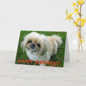 Schattigee pekinees wenskaart kaart (Gele Bloem)