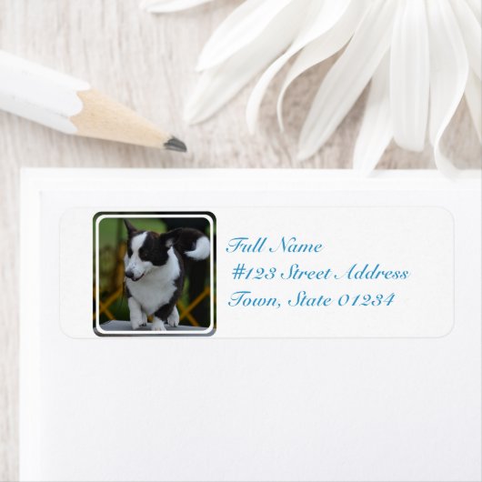 Schattigee Pembroke Corgi Dog Etiket (Insitu)