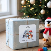 Schattigee Penguin Santa Hat Sneeuwvlokken Kinder