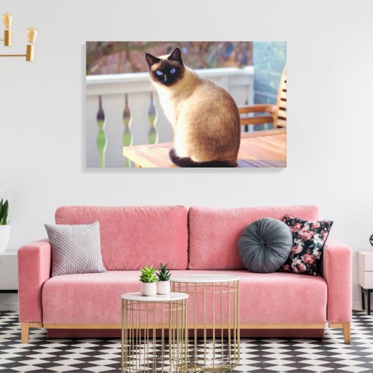 Schattigee perzik blauw - Eyed Cat Canvas Afdruk (Insitu (Woonkamer))