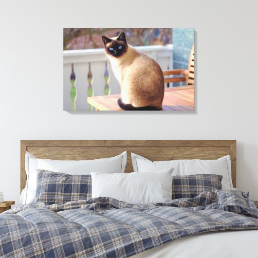 Schattigee perzik blauw - Eyed Cat Canvas Afdruk (Insitu (Slaapkamer))