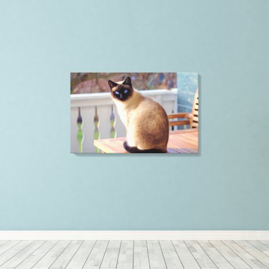 Schattigee perzik blauw - Eyed Cat Canvas Afdruk (Insitu (Houten vloer))
