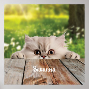 Schattigee Perzische Peeking Cat Poster