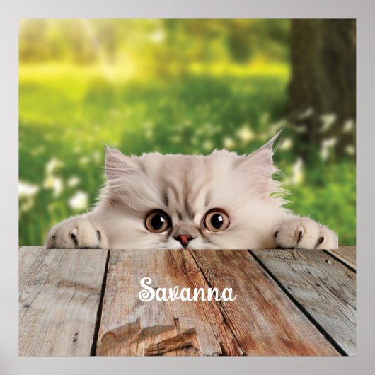 Schattigee Perzische Peeking Cat Poster (Voorkant)